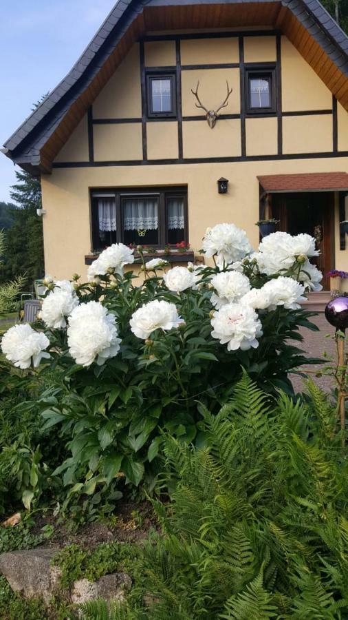 Birkenhain Stolberg i. Harz Exterior foto